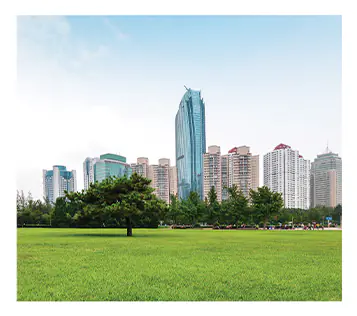 CENTRAL GREEN